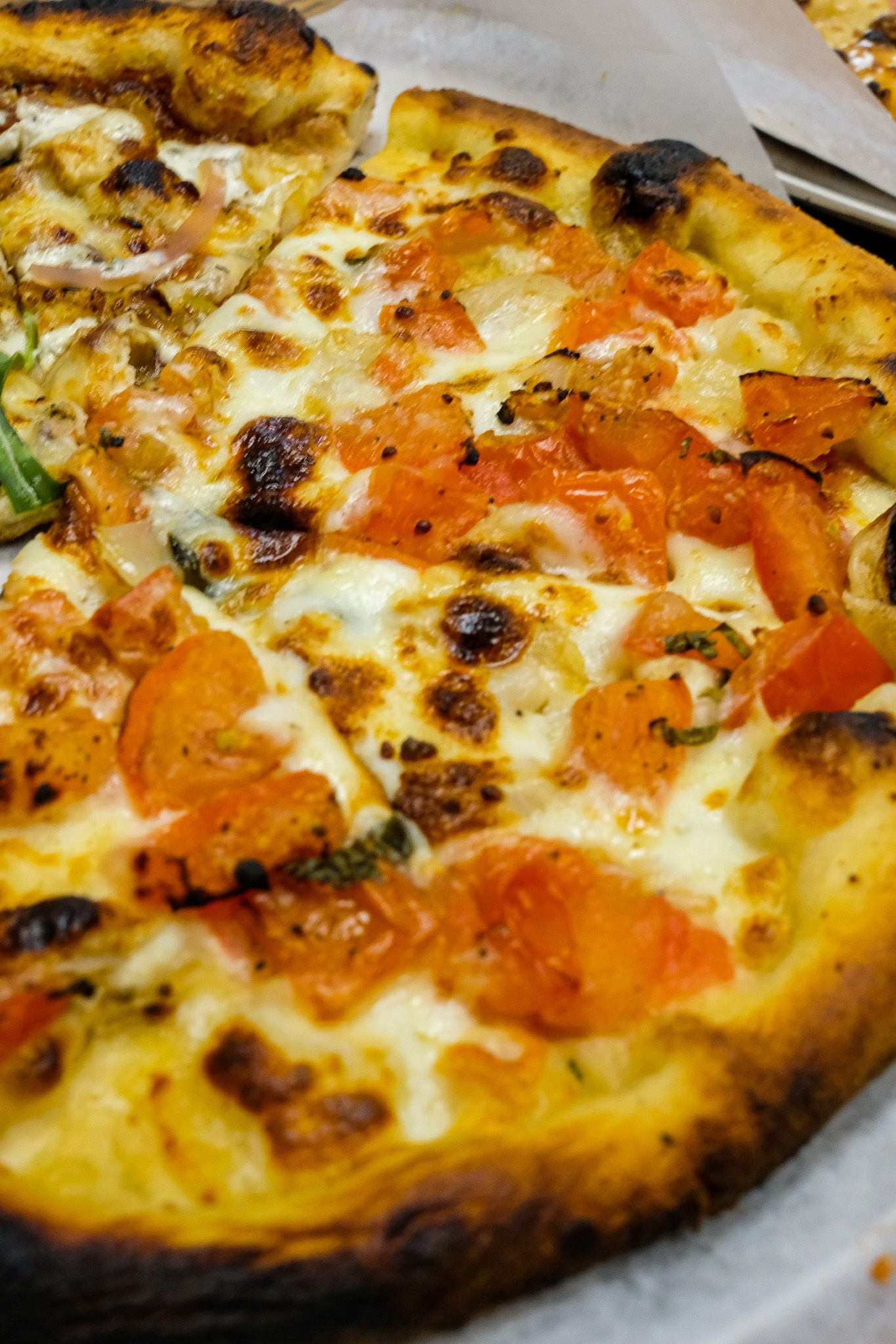 Fresh tomato pie